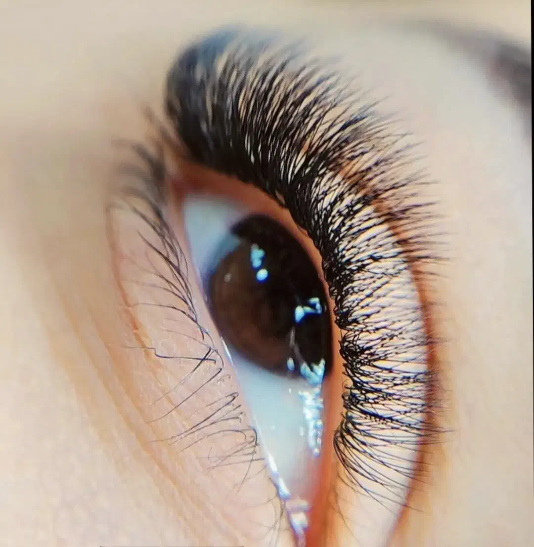 اکستنشن مژه فقط و فقط ۲۵۰هزار تومان تا یلدا|خدمات آرایشگری و زیبایی|زاهدان, |دیوار