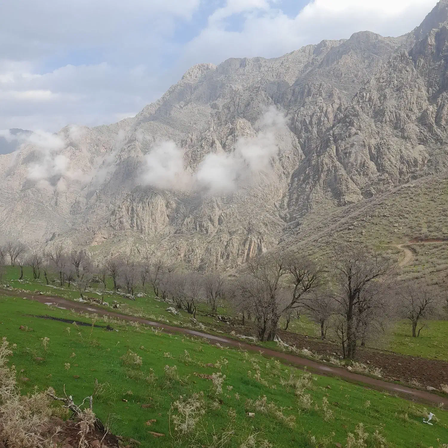 فروش زمین مسکونی تجاری|فروش زمین و ملک کلنگی|بیلوار, |دیوار