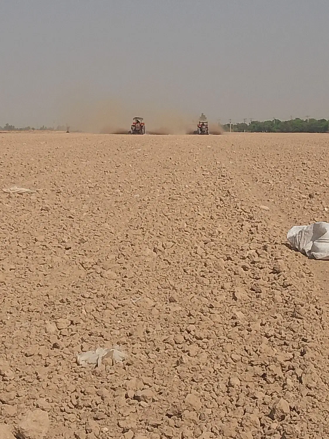 کودپاشی  زل پاشی.   تراکتور|خدمات باغبانی و درختکاری|اندیمشک, |دیوار