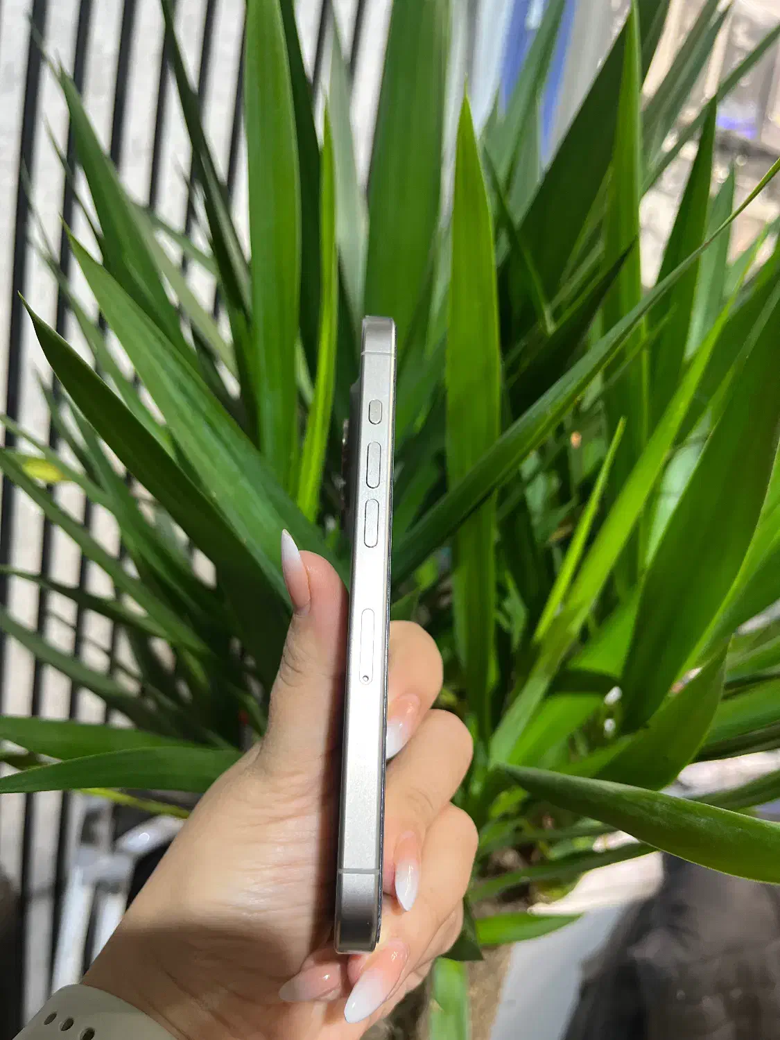 iPhone 15 pro|موبایل|مشهد, بهشت|دیوار