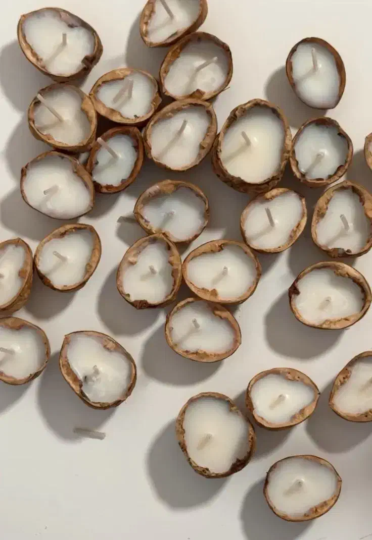 شمع گردویی|عمده‌فروشی|بهار, |دیوار