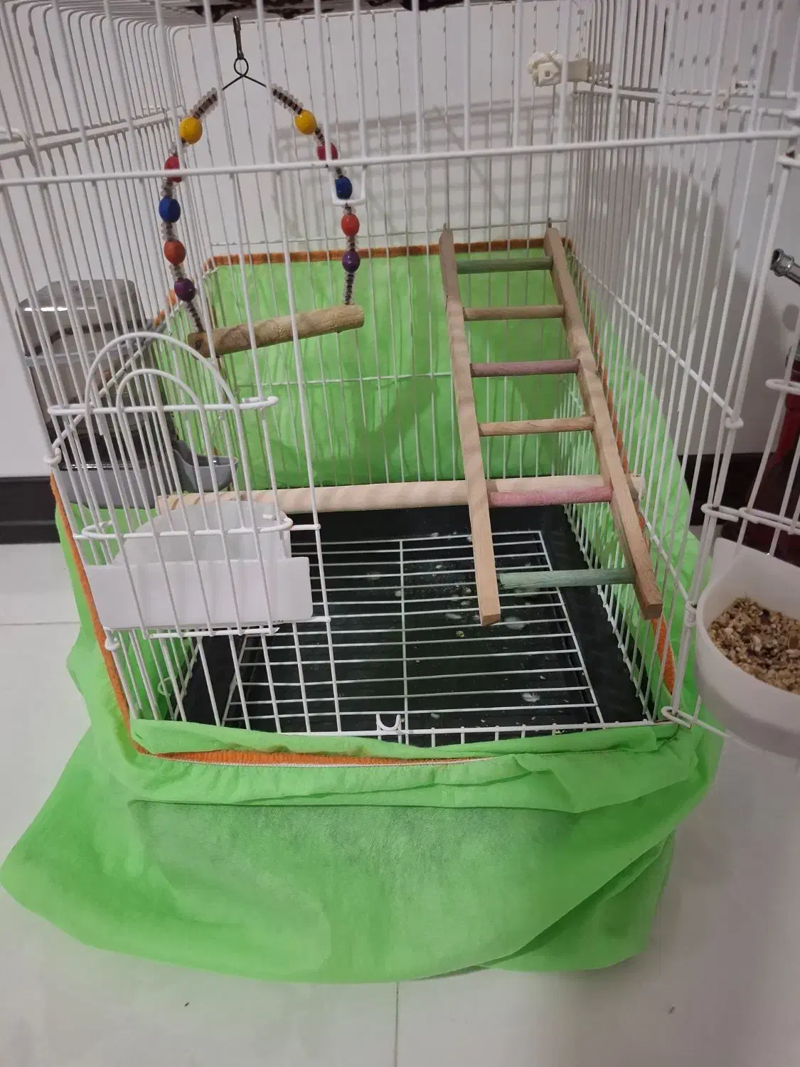 پرنده عروس هلندی|پرنده|کهریزک, |دیوار