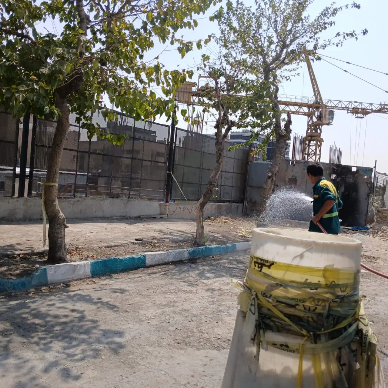 هرس درختان کاشت کودهی واکاری|خدمات باغبانی و درختکاری|تهران, سبلان (لشگر)|دیوار