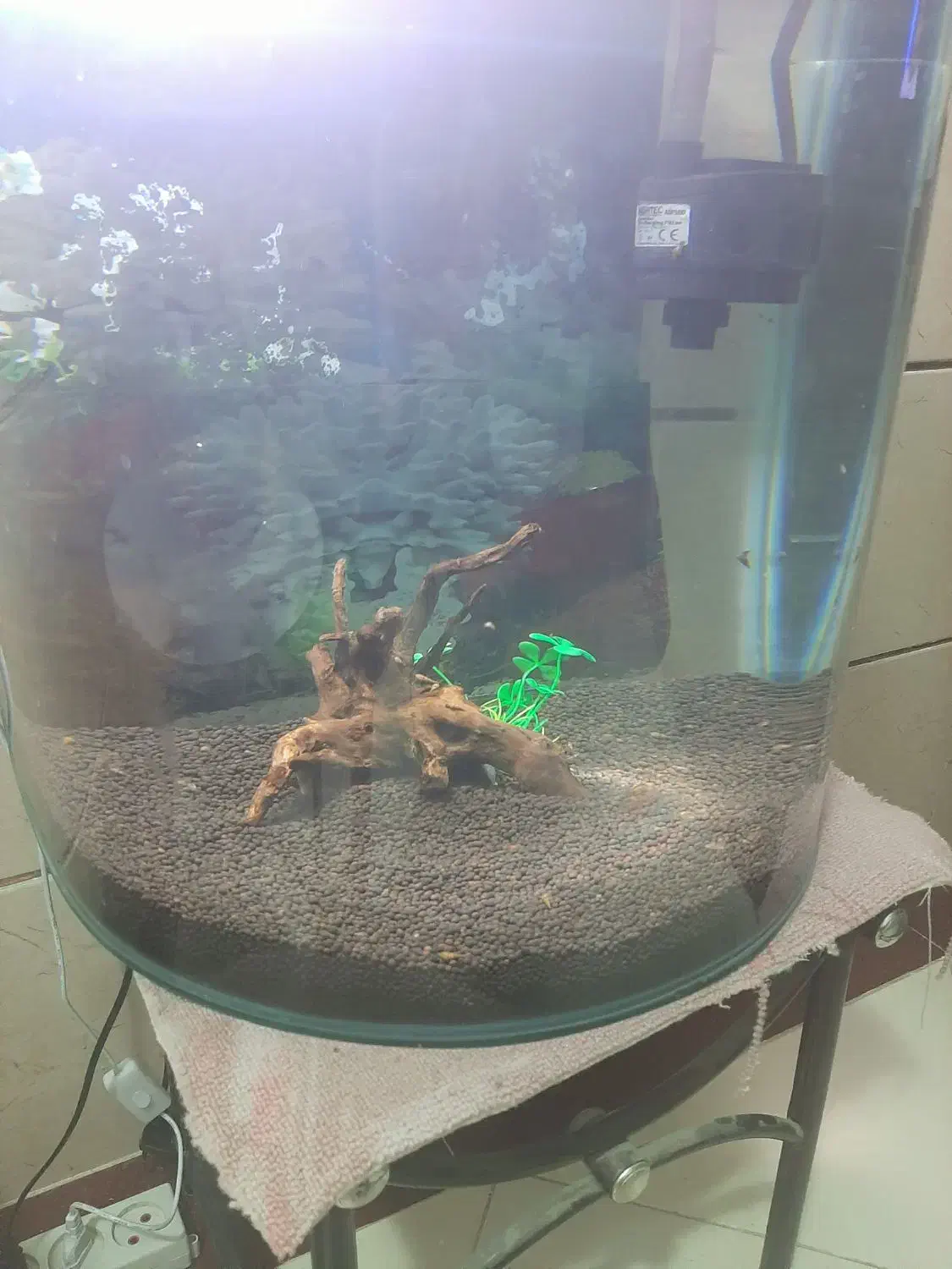 شیشه آکواریوم|ماهی|میناب, |دیوار