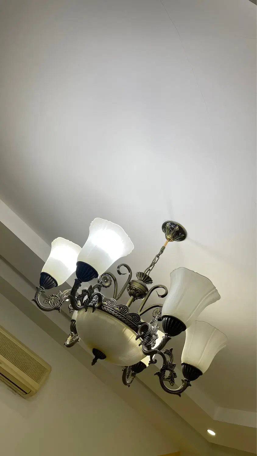 لوستر ۶ شعله|لوستر و چراغ آویز|رشت, کاکتوس|دیوار