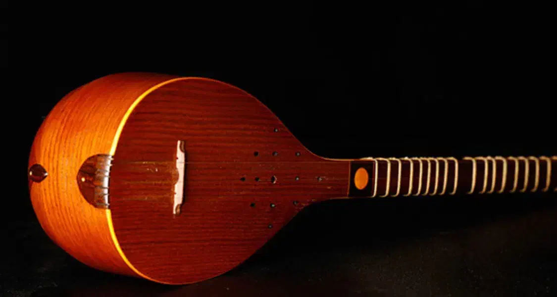 سه تار رامین جزایری|سازهای سنتی|تهران, فلسطین (میدان انقلاب)|دیوار