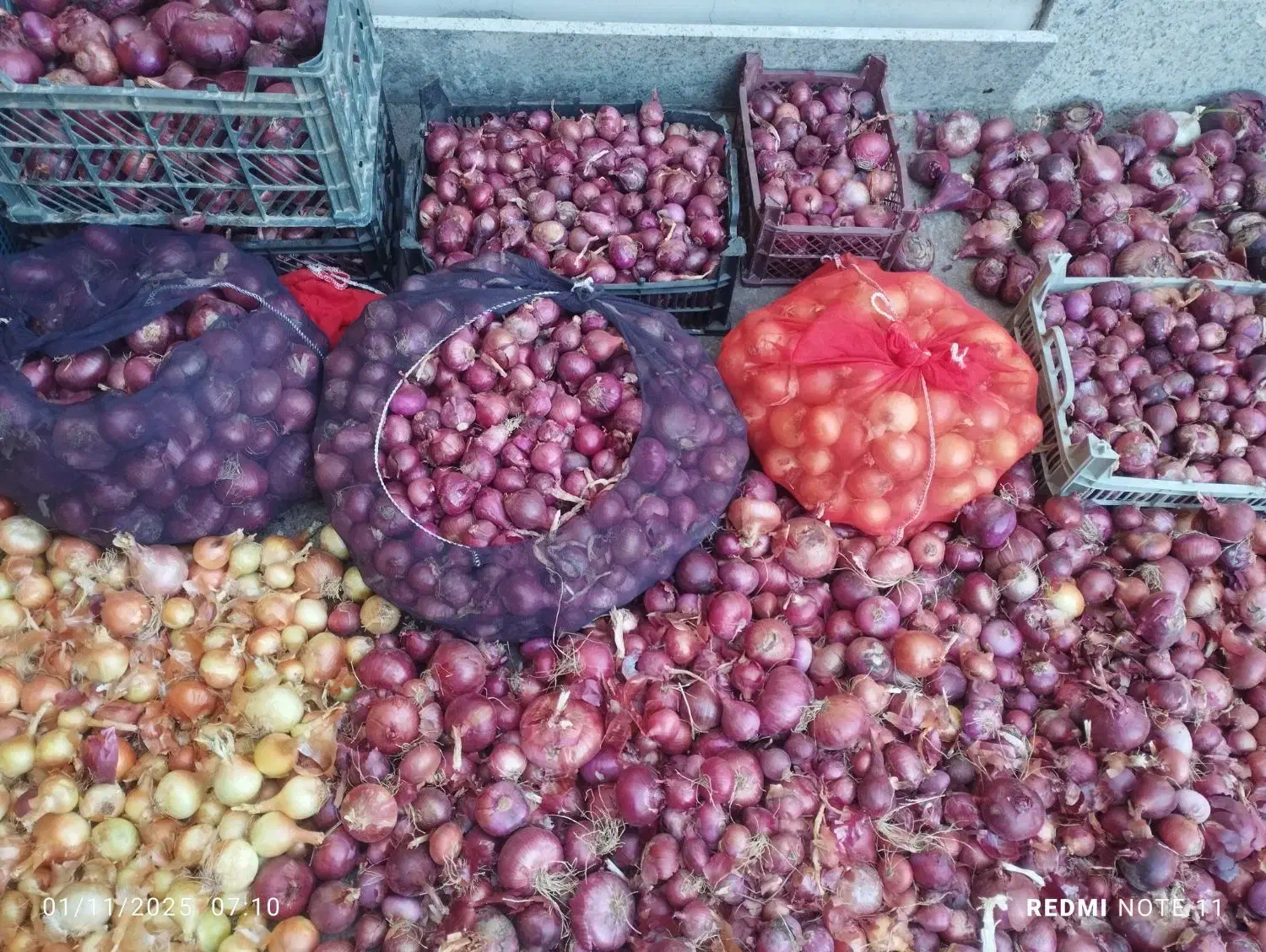 پیاز ترشی ومصرفی|خوردنی و آشامیدنی|بناب, |دیوار