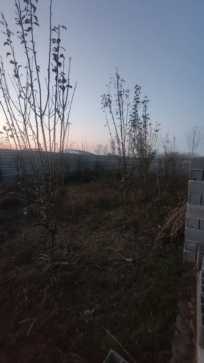 فروش زمین مسکونی مناسب ویلا سازی|فروش زمین و ملک کلنگی|چاف و چمخاله, |دیوار