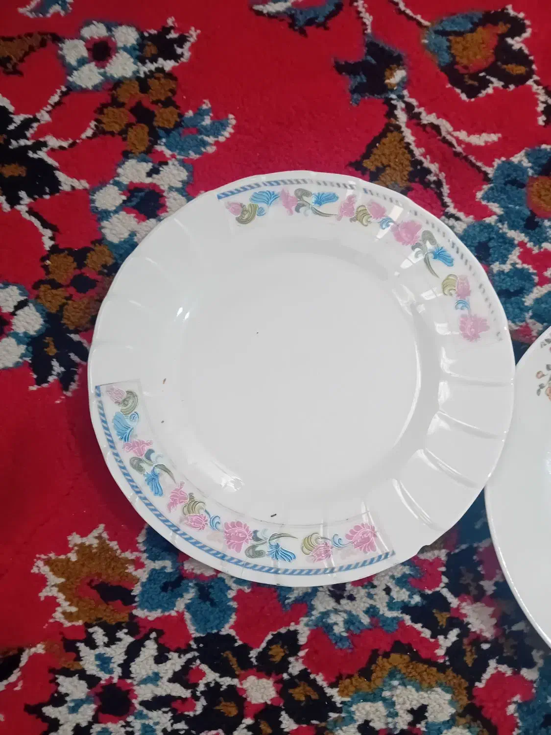 ظرفهای شیک|ظروف سرو و پذیرایی|سمنان, |دیوار