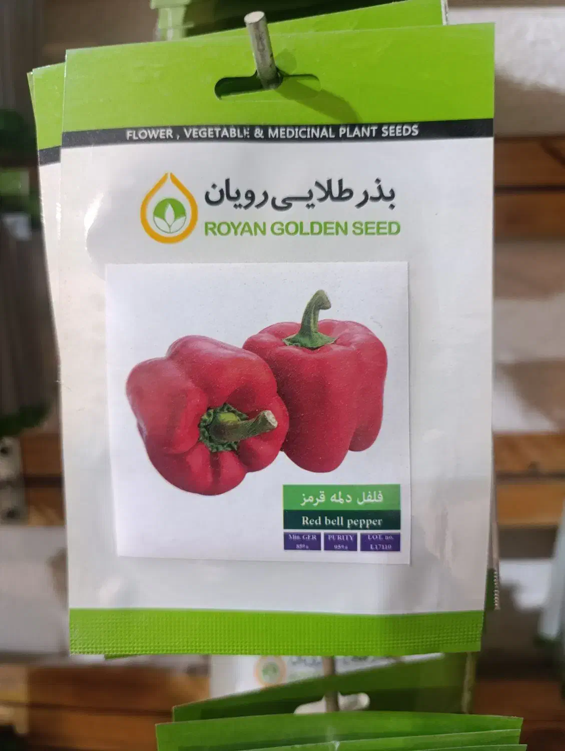 انواع بذر|گل و گیاه طبیعی|یزد, |دیوار