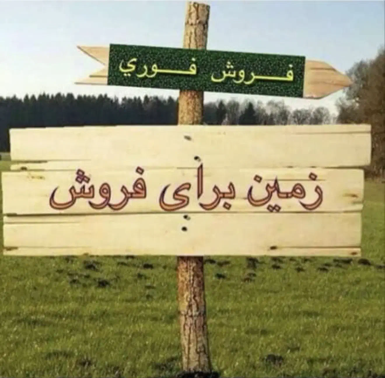 زمین کوچه قلیان فروش مسکونی|فروش زمین و ملک کلنگی|شاهرود, |دیوار