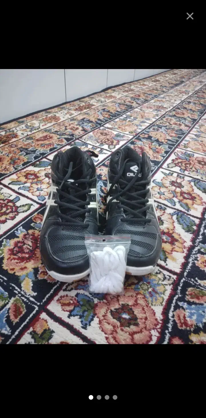 کفش|کیف، کفش، کمربند|بافق, |دیوار