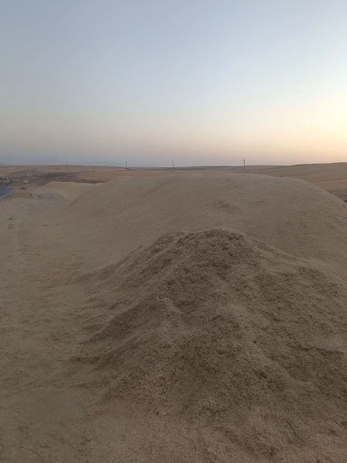 کاه گندم|عمده‌فروشی|دهگلان, |دیوار