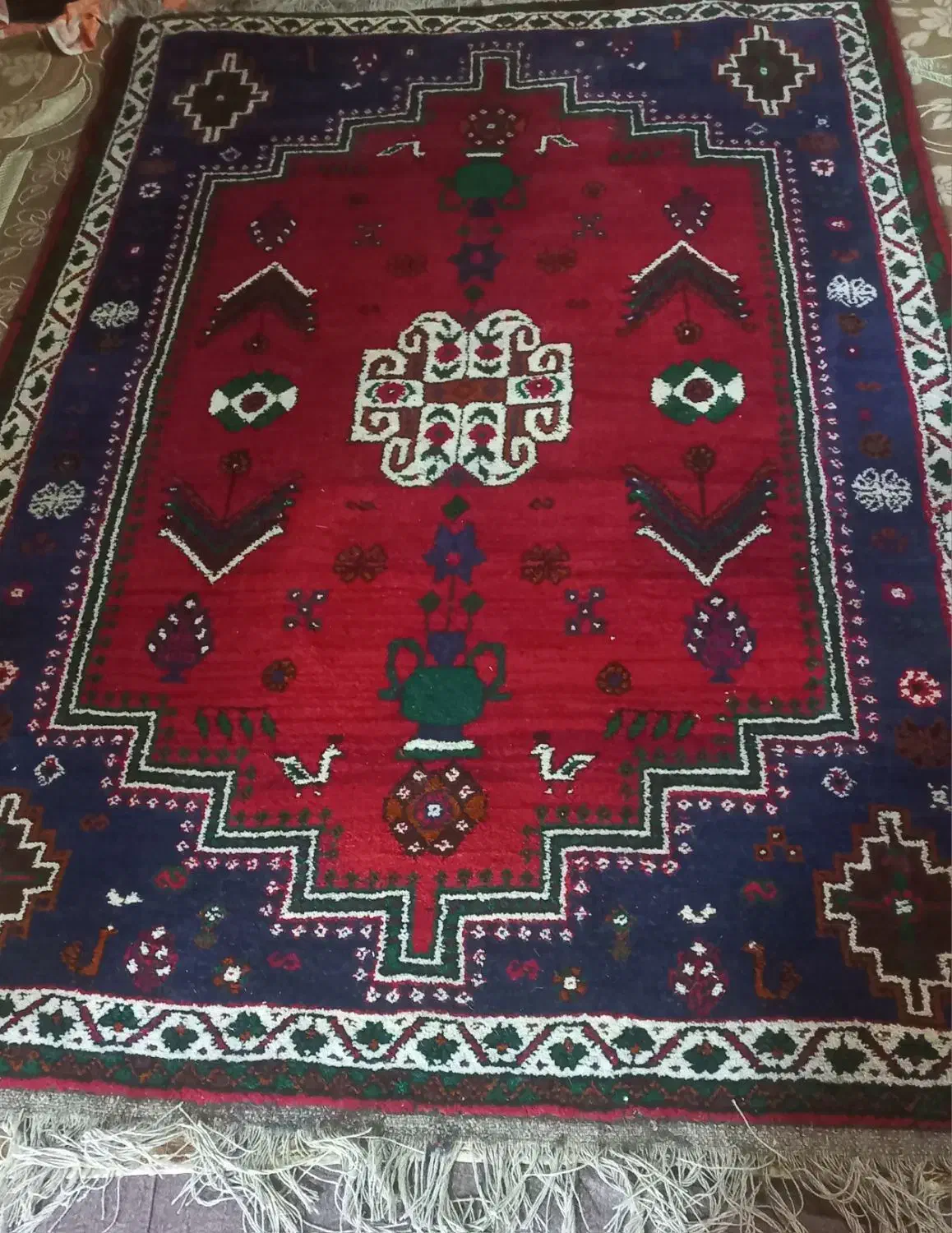 فرش دستبافت|فرش|فسا, |دیوار