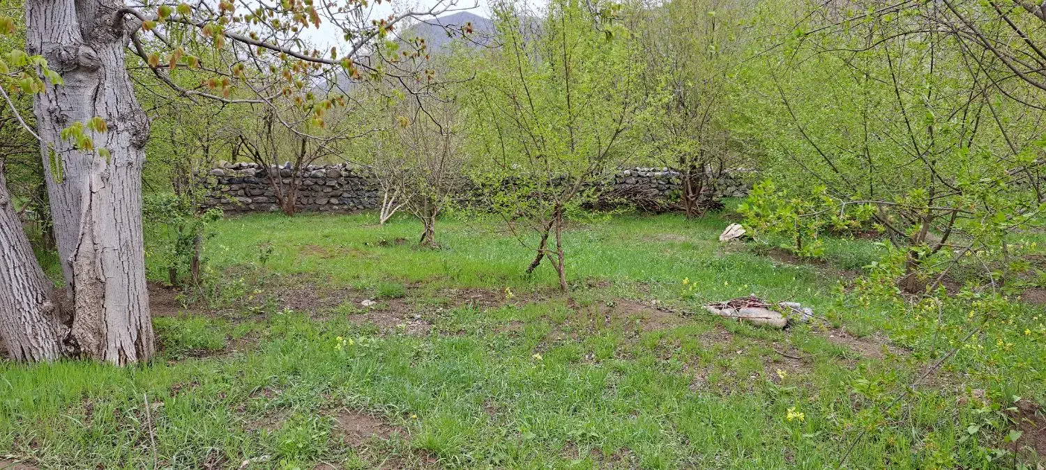 فروش باغ|فروش زمین و ملک کلنگی|کلیبر, |دیوار