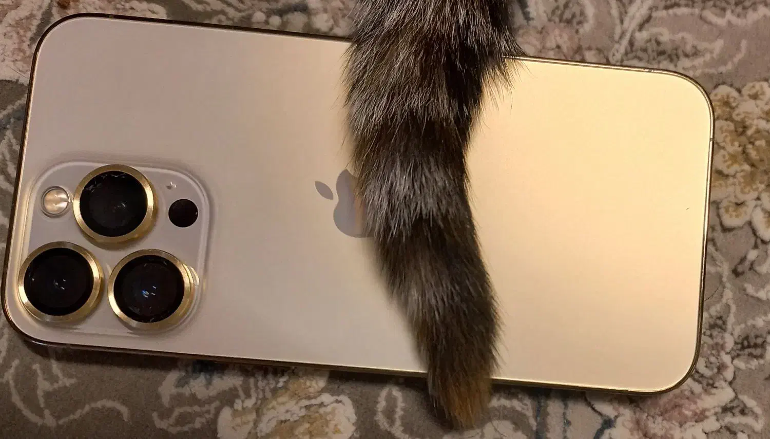 آیفون ۱۳ پرو ۱ترابایت|موبایل|تهران, شمسآباد|دیوار