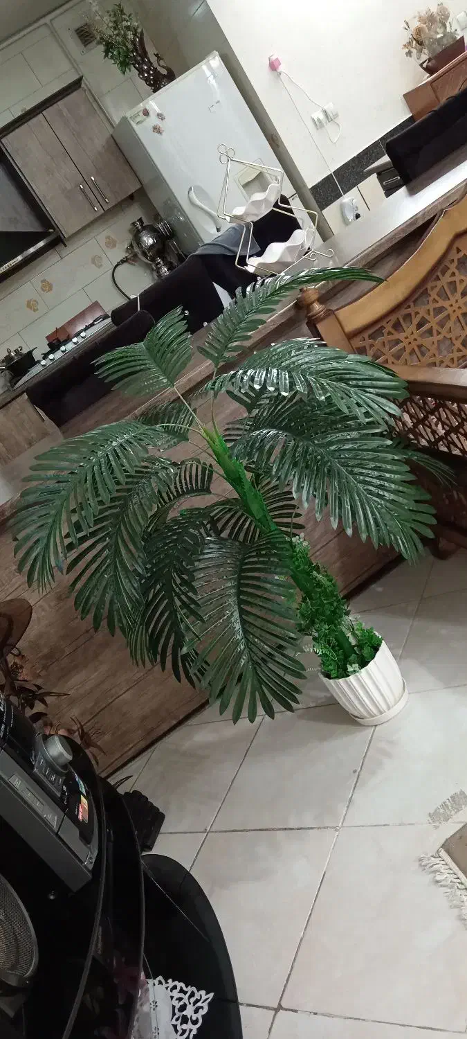 نخل شامادورا مصنوعی|گل مصنوعی|نجف‌آباد, گلدشت|دیوار