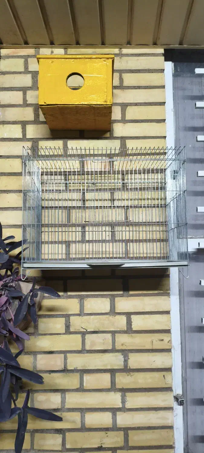 قفس پرنده 2 عدد|لوازم جانبی حیوانات|شیراز, تندگویان|دیوار