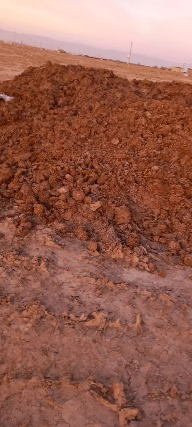 کودگاوی خشک|حراج|قزوین, |دیوار