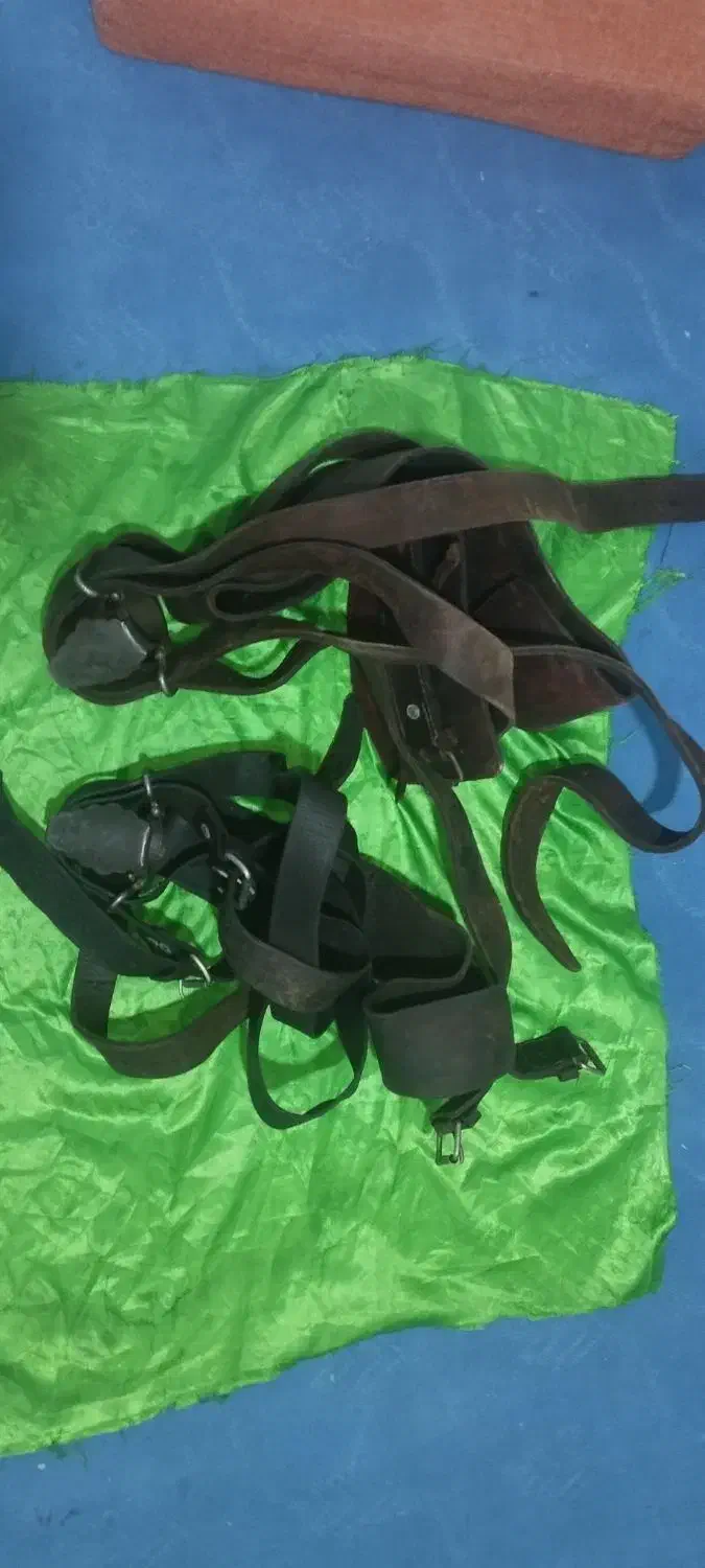 هیکلی علامت کشی گاومیش|کلکسیون اشیاء عتیقه|ری, ملک‌آباد|دیوار