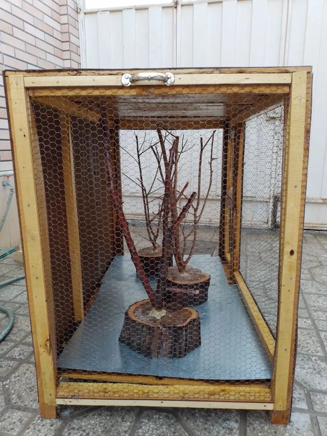 قفس چوبی زیبا|لوازم جانبی حیوانات|شهرضا, |دیوار