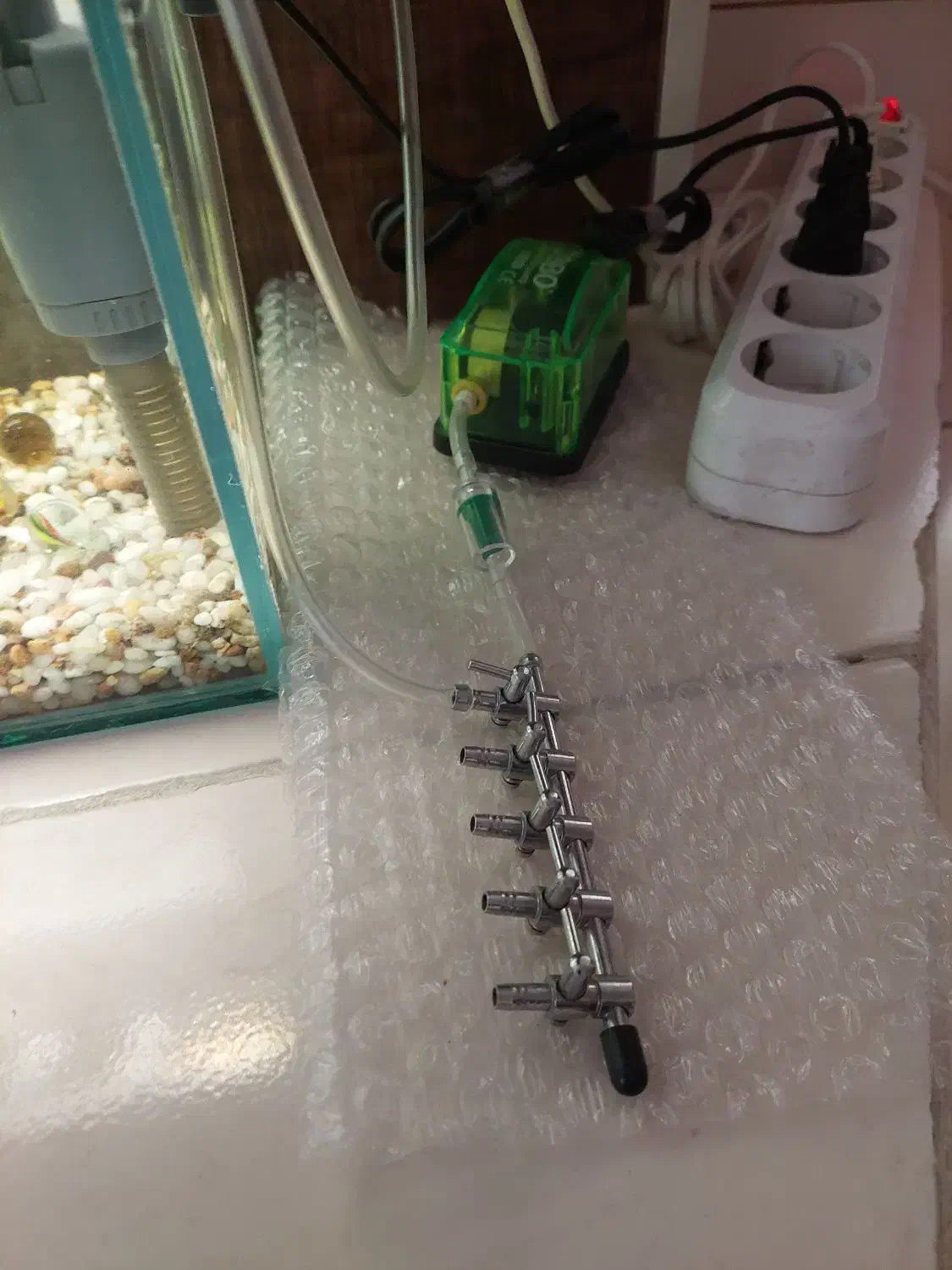 آکواریوم|ماهی|کرمانشاه, |دیوار