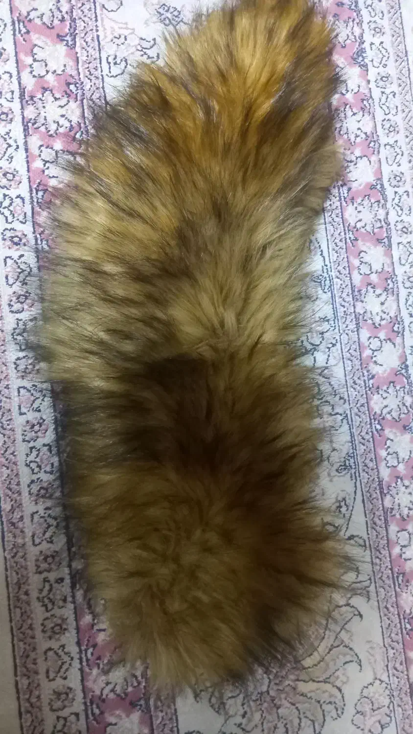 یقه خز|لباس|کرج, شاهینویلا|دیوار