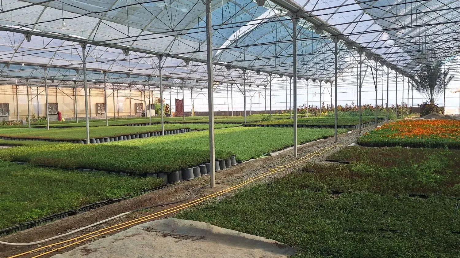 نیروی خانم گلخانه|استخدام صنعتی، فنی، مهندسی|بیرجند, |دیوار