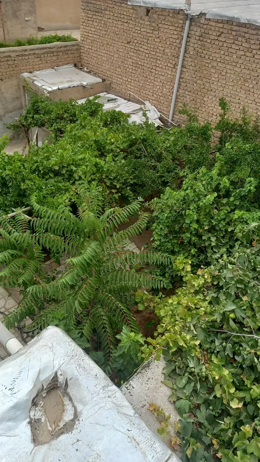 خانه ویلایی واقع در روستای سرسبز محمد آباد عربها|فروش خانه و ویلا|جوادآباد, |دیوار