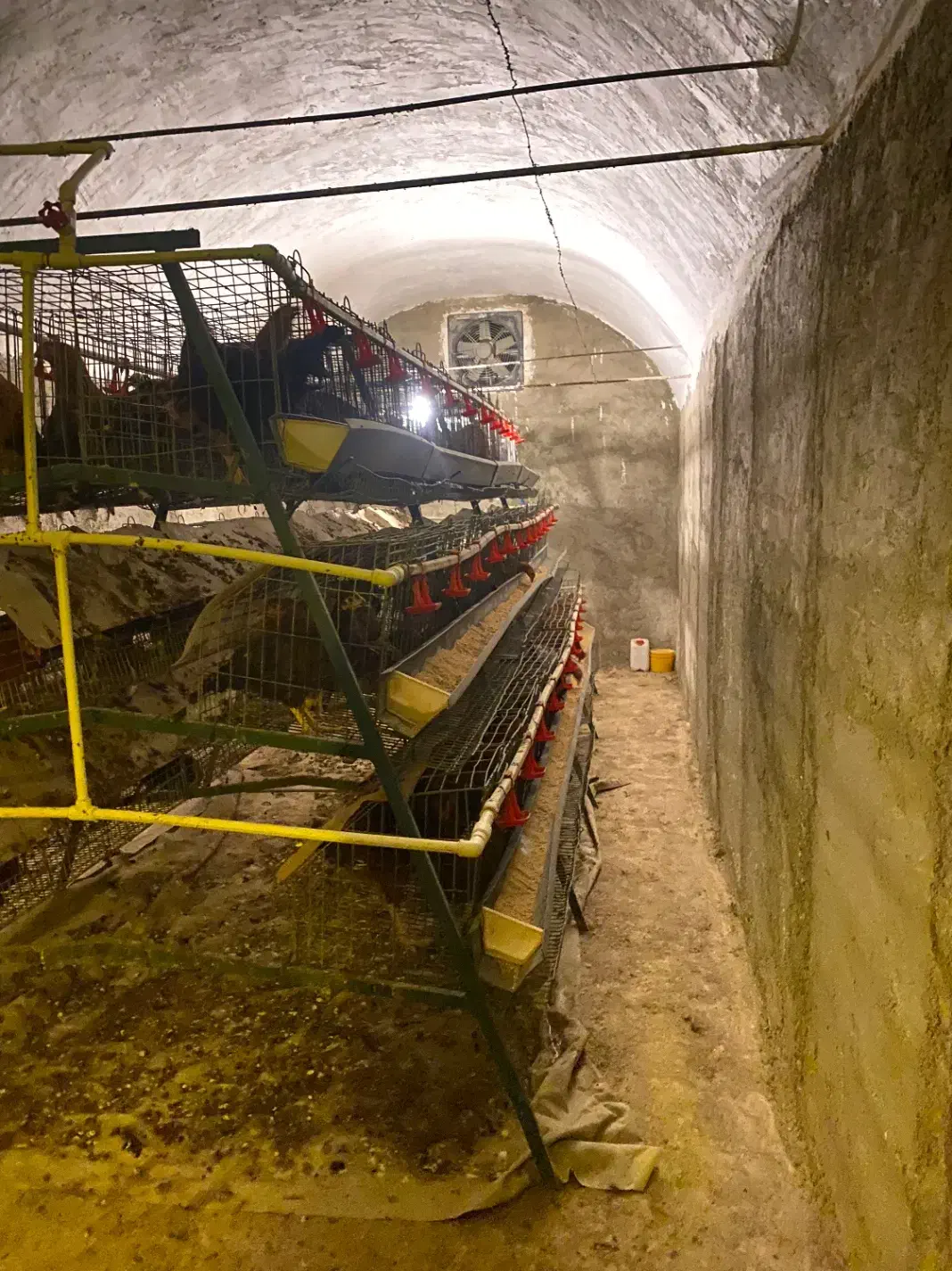 قفس مرغ تخمگذار|لوازم جانبی حیوانات|شهریار, دهشاد بالا|دیوار