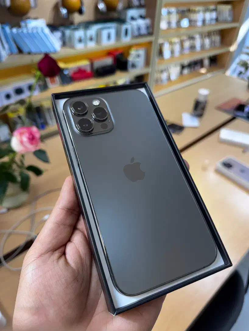 12 PRO MAX|موبایل|قائم‌شهر, |دیوار