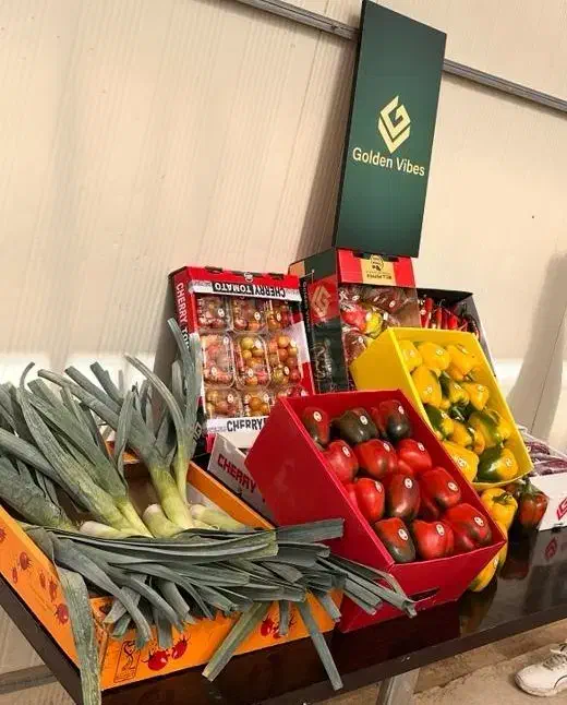 جذب نیروی خانم برای سورتیگ|استخدام صنعتی، فنی، مهندسی|بروجن, |دیوار