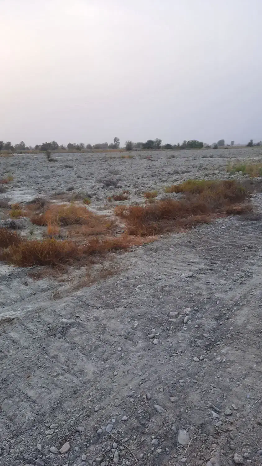 اجاره زمین کشاورزی|اجارهٔ دفتر صنعتی، کشاورزی، تجاری|میناب, |دیوار