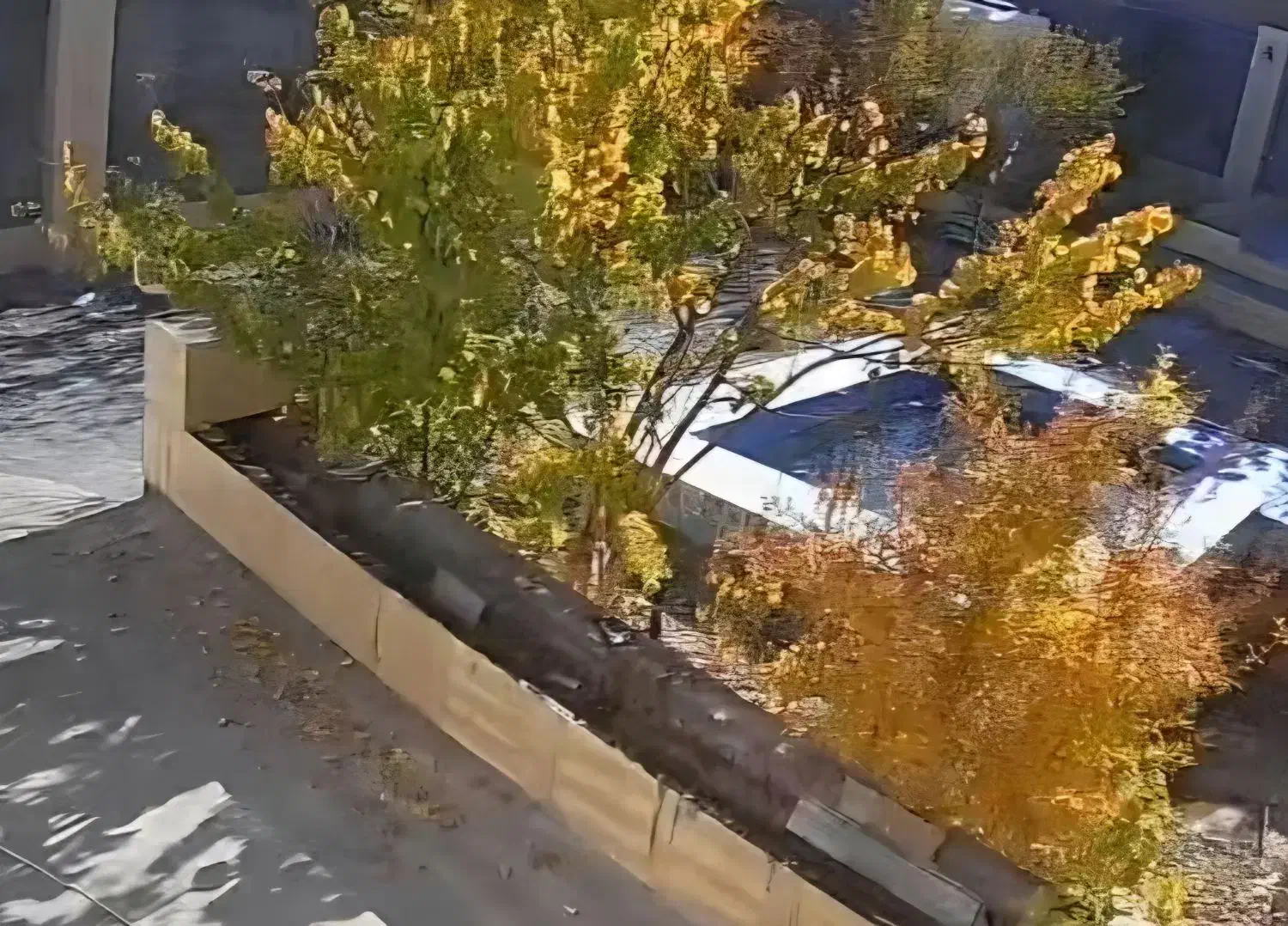 هفت باغ،شهرک علی ابن ابیطالب(ع)|فروش خانه و ویلا|ماهان, |دیوار