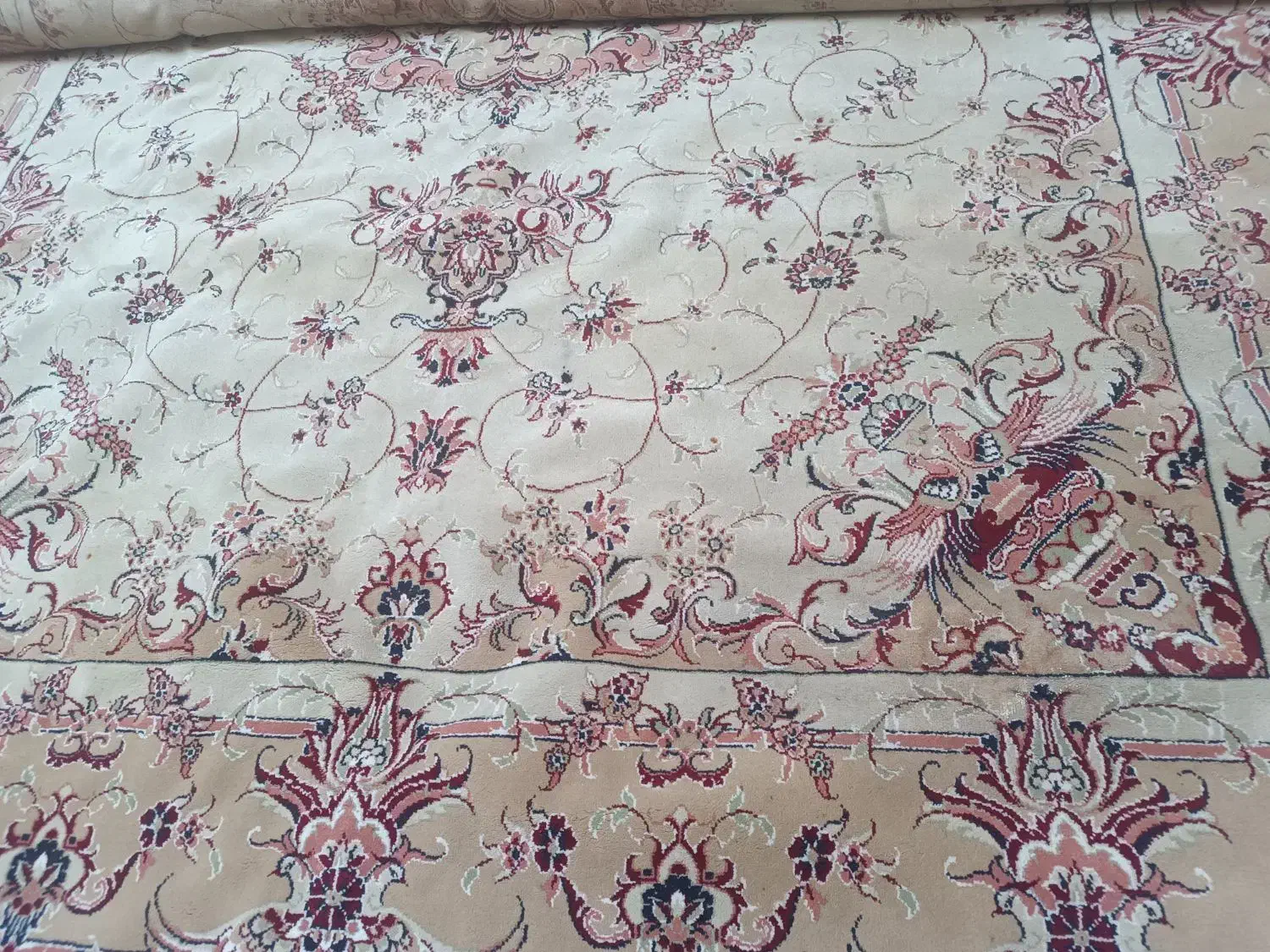 فرش ۱۲متری|فرش|مشهد, شهید جنگی|دیوار