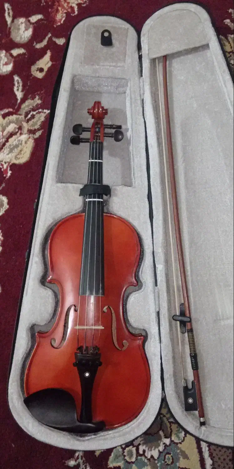 ویالون|ویولن|بوشکان, |دیوار