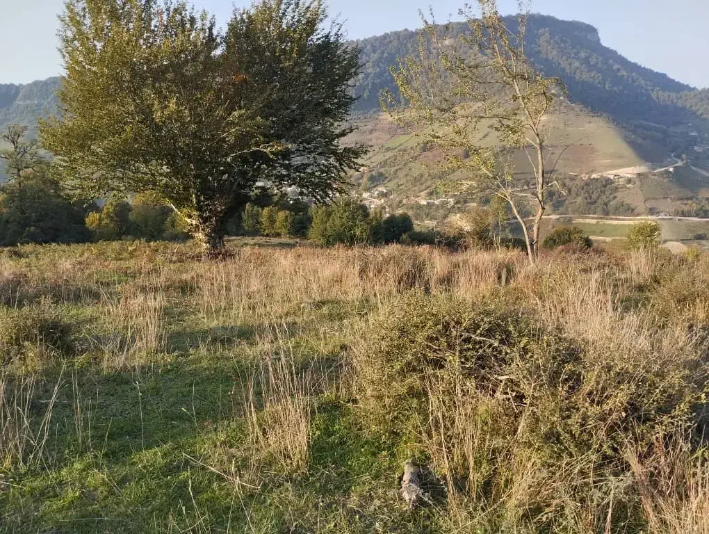 زمین کشاورزی5هکتار|فروش دفتر صنعتی، کشاورزی، تجاری|فریم, |دیوار