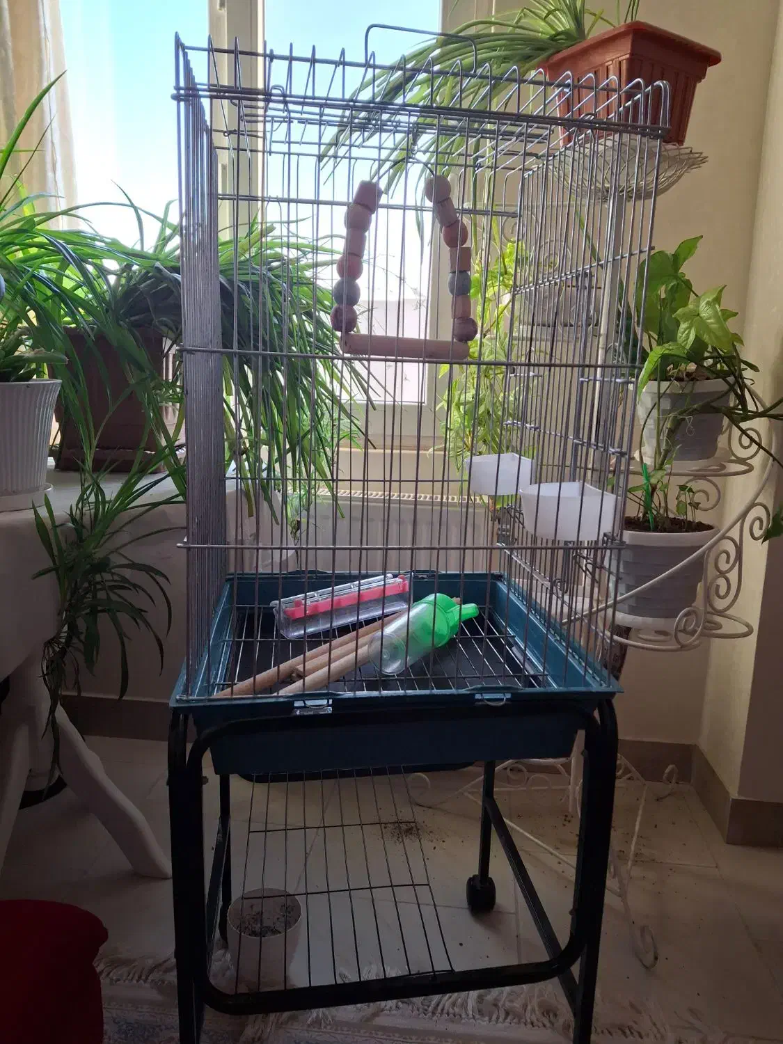 قفس عروس هلندی|لوازم جانبی حیوانات|محمدشهر, شهرک پیام (مهرالبرز)|دیوار