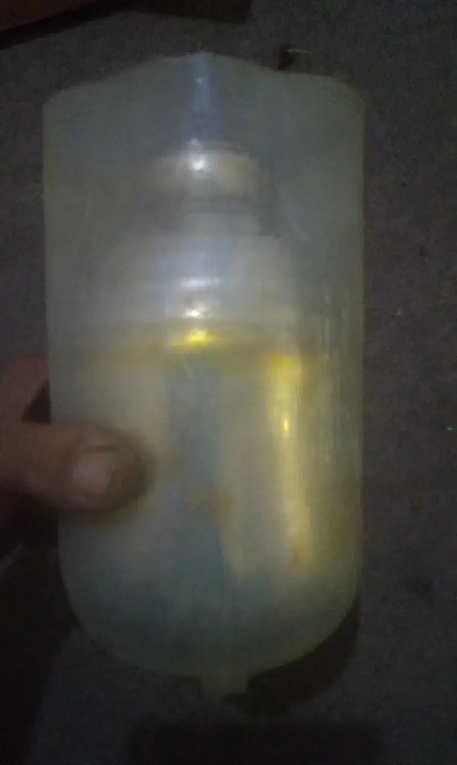 شیشه فلاسک چای ژاپنی|سماور، چای‌ساز، قهوه‌ساز|اهواز, کمپلو جنوبی|دیوار