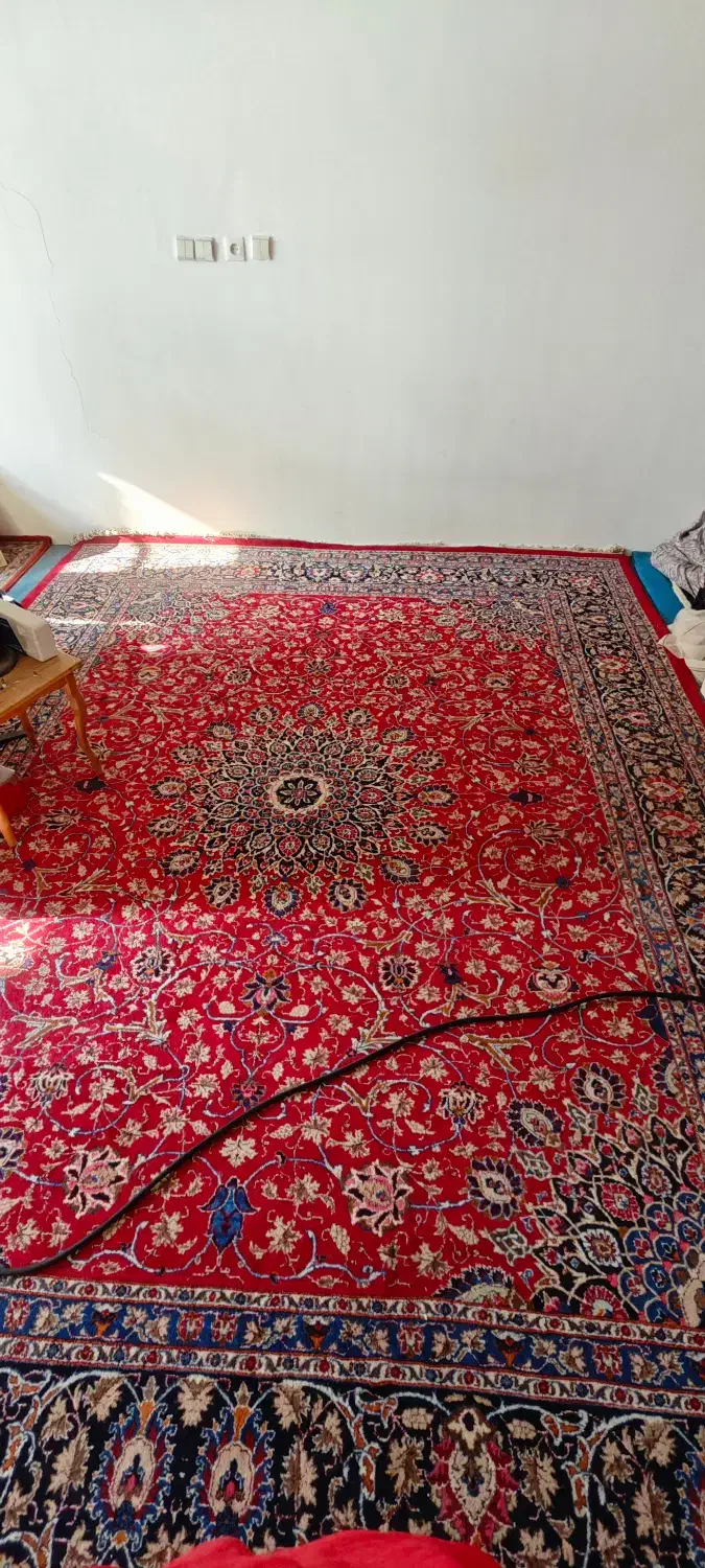 فرش دستباف پشمی|فرش|مشهد, سلام|دیوار