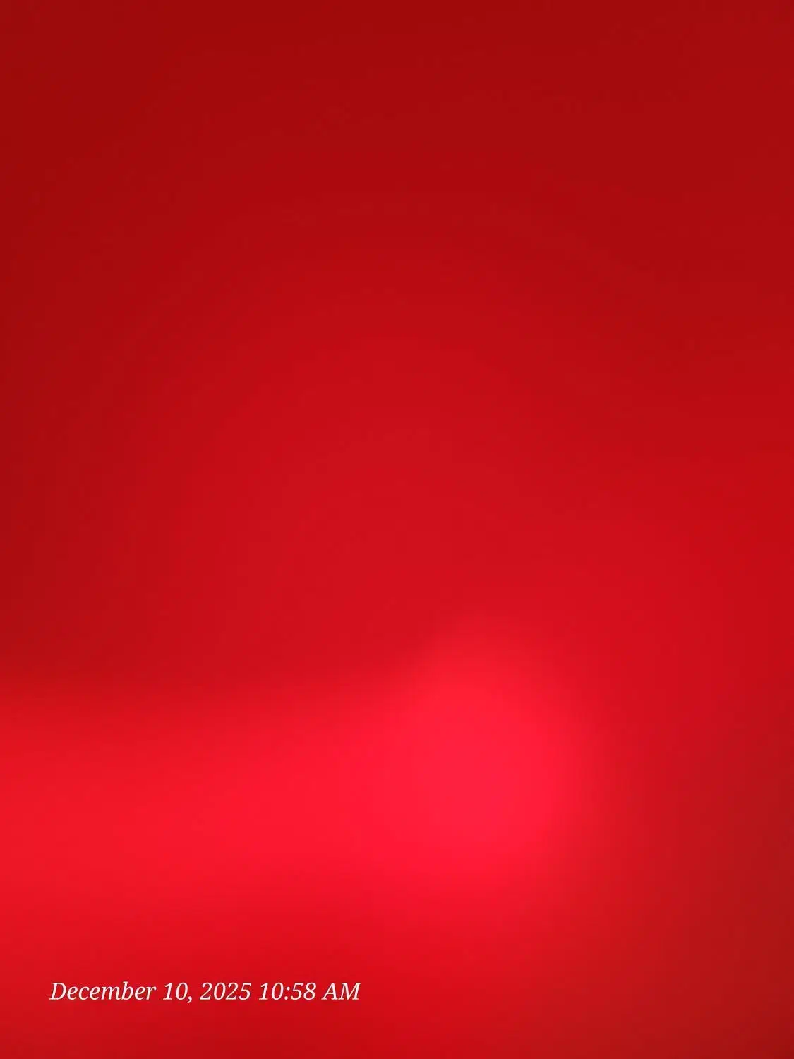 ۴ عدد بلیط کنسرت رستاک|بلیت کنسرت|تهران, درختی|دیوار