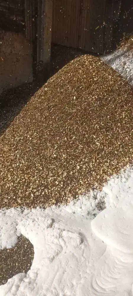 ضایعات چغندر وتفاله|حیوانات مزرعه|لالجین, |دیوار