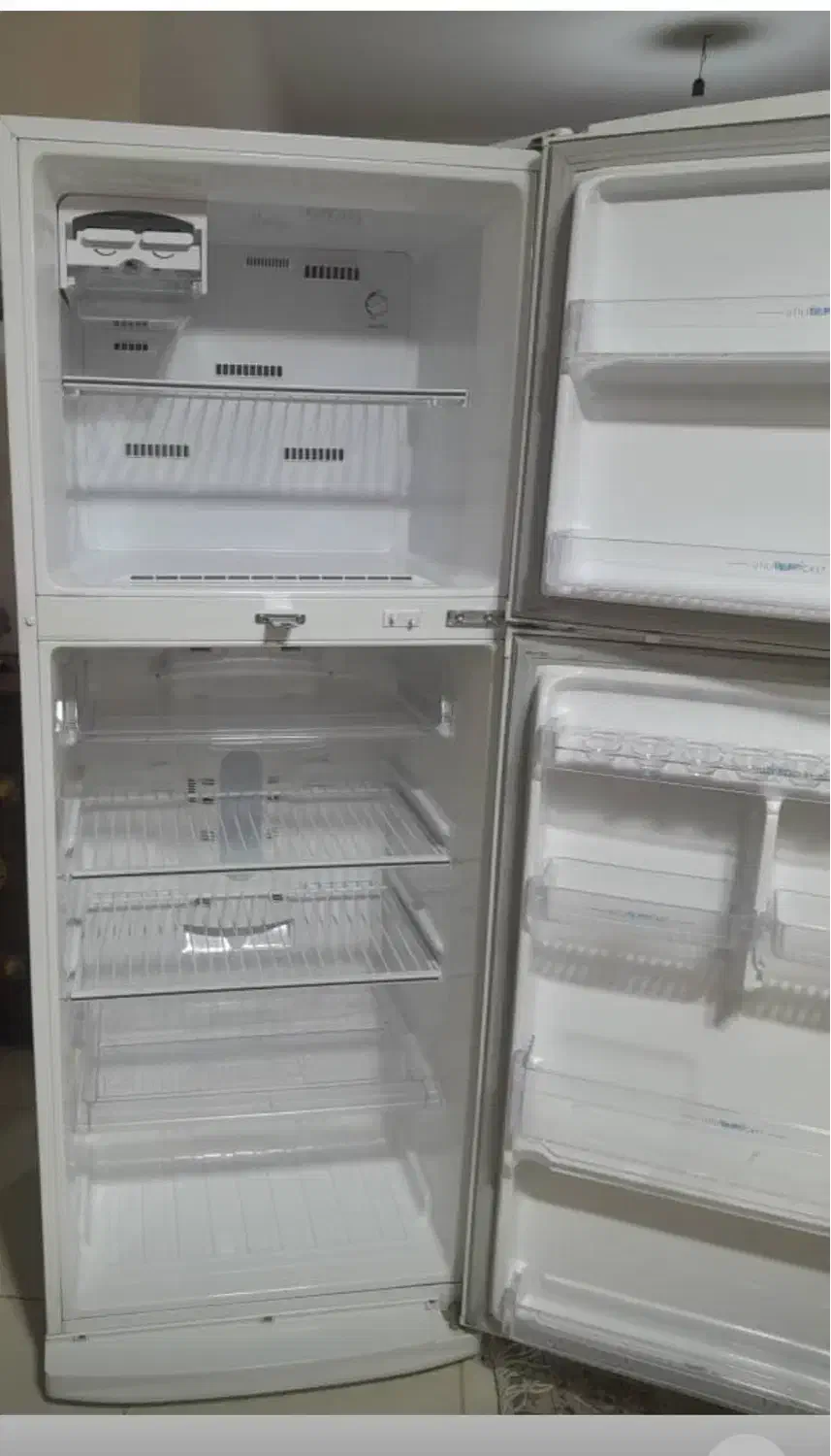 یخچال|یخچال و فریزر|صدرا-فارس, فاز ۱|دیوار