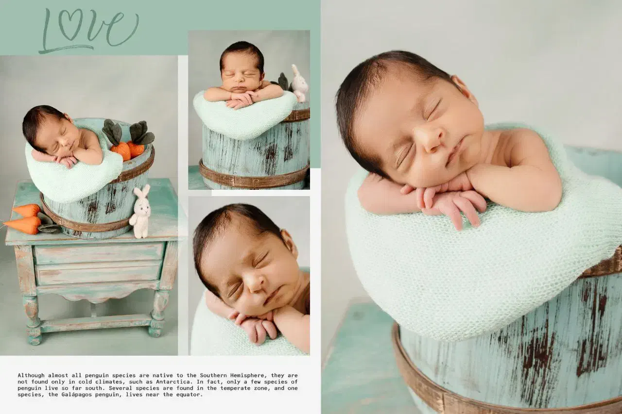 آتلیه عکاسی نور|خدمات پذیرایی، مراسم|مشکیندشت, |دیوار