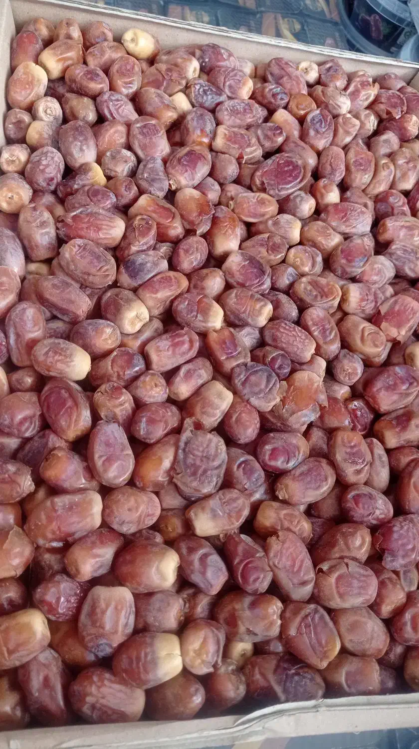 فروش عمده وتک خرمای زاهدی درجه یک طلایی کبکاب رطب|خوردنی و آشامیدنی|گنبد کاووس, |دیوار