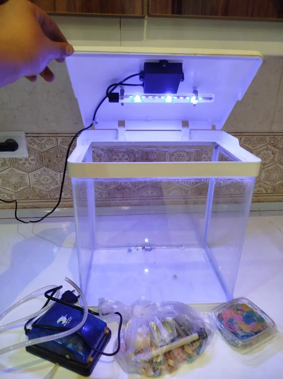 آکواریوم زینتی چراغ دار هفت رنگ|ماهی|اشنویه, |دیوار