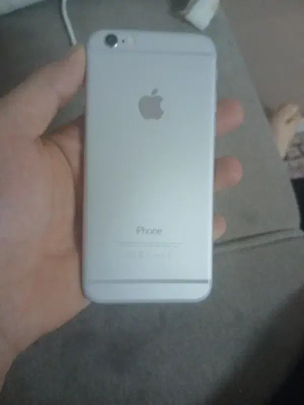 آیفون ۶|موبایل|رشت, شهرک قدس|دیوار