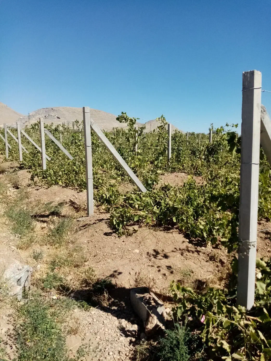 پایه فنس بتنی|خدمات پیشه و مهارت|اراک, |دیوار