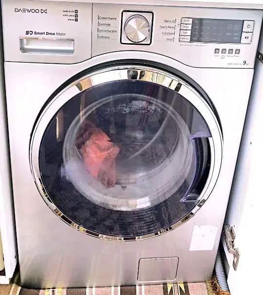 ماشین لباسشویی دوو تمام اتوماتیک|ماشین لباسشویی و خشککن لباس|همدان, |دیوار