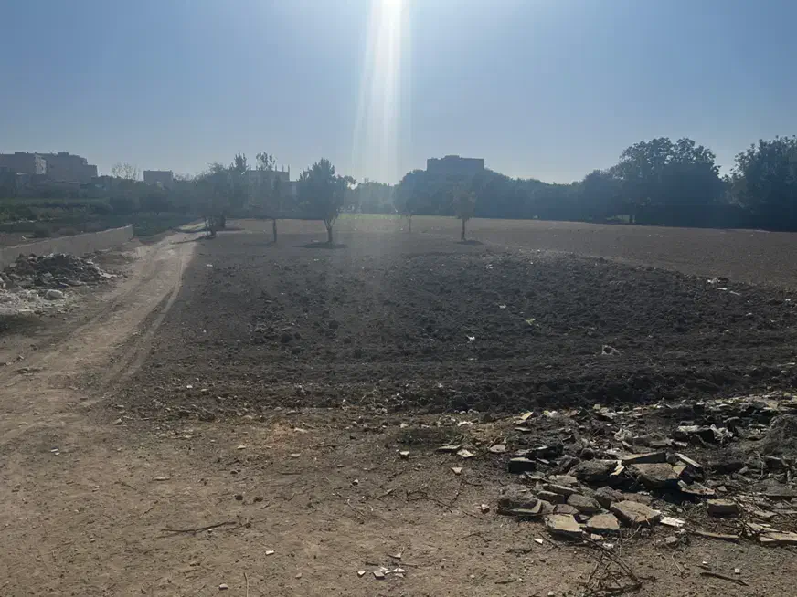 ۲۵۶/۵ زمین بهر اصلی کمربندی محمدشهر|فروش زمین و ملک کلنگی|محمدشهر, محمدشهر|دیوار